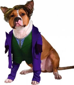 DC The Joker Pet Costume | DC | Pet Costumes And Accessories