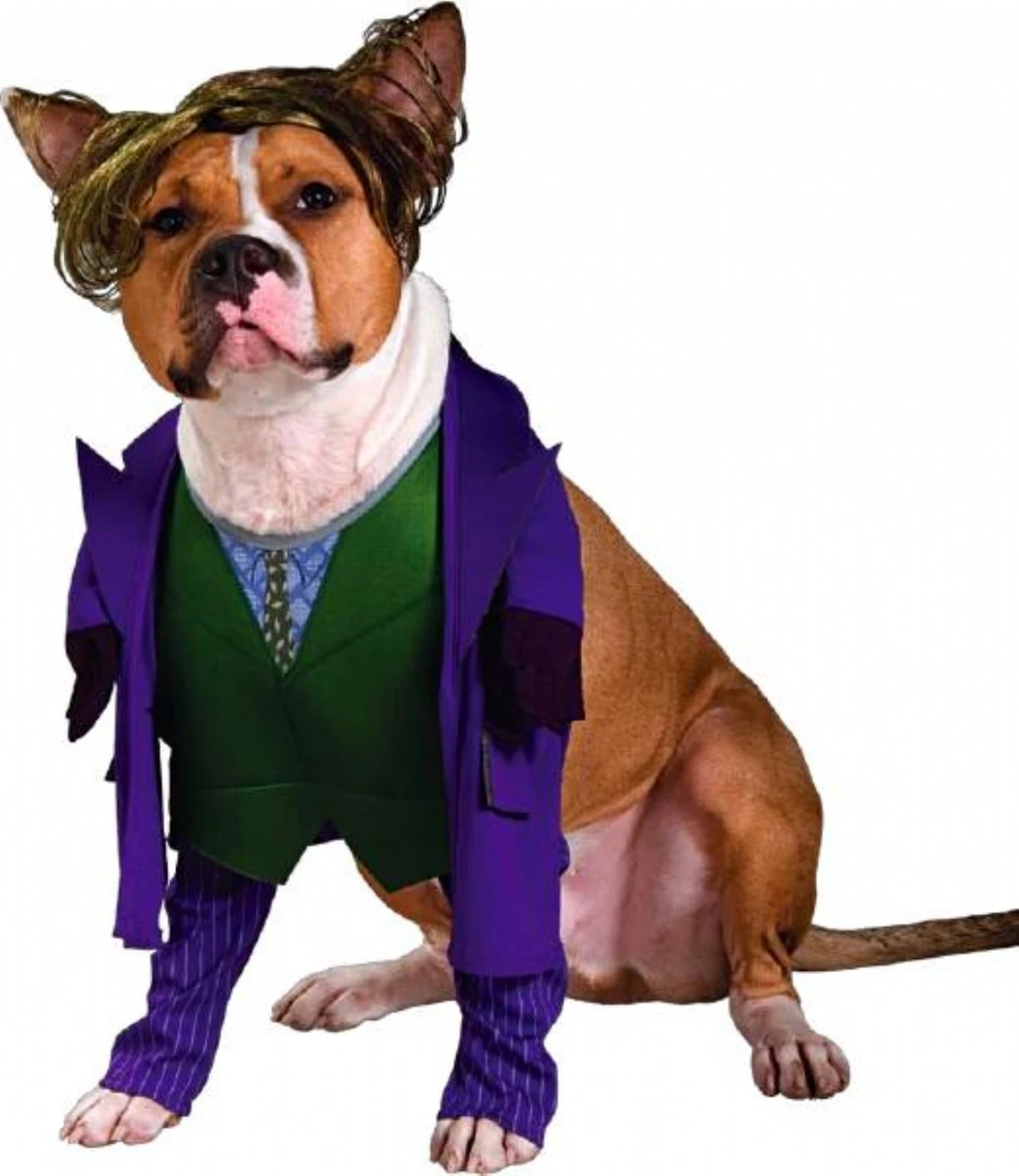 DC The Joker Pet Costume | DC | Pet Costumes And Accessories 1 DC The Joker Pet Costume | DC | Pet Costumes And Accessories