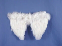 Mini Angel Cherub Feather Wings In 3 Colours! | Angels And Devils | Accessories