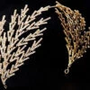 Gold Leaf Headband | Crowns And Tiaras | Crowns And Tiaras