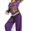 Harem Princess Arabian Dancer Costume | Around The World | Childrens Costumes