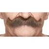 Gentleman | Brown And Grey | European Moustaches | Applications And Prosthetics