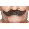 Vaudeville | Shiny Black | European Moustaches | Applications And Prosthetics