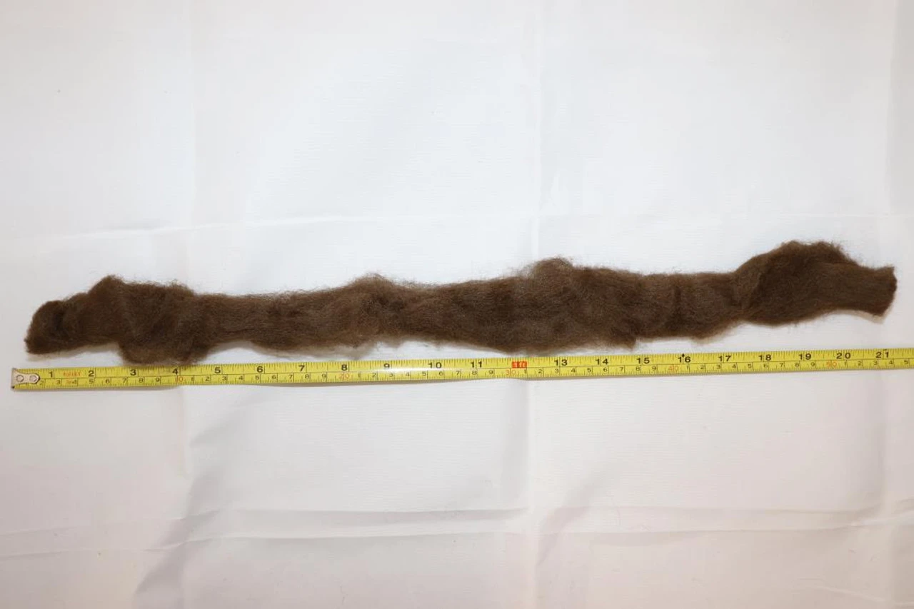 Crepe Hair 20 Inch Brown | Makeup | Applications And Prosthetics 1 Crepe Hair 20 Inch Brown | Makeup | Applications And Prosthetics