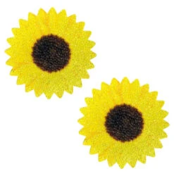 Neva Nude Sunflower Power Pasties | Festivals | Applications And Prosthetics