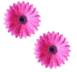 Neva Nude Driving Miss Daisy Pasties | Festivals | Applications And Prosthetics