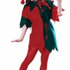 Complete Elf Tunic Costume | Christmas | Mens Costumes