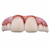 Billy Bob Megabucks Teeth | Fake Teeth | Prosthetics | Applications And Prosthetics