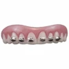 Billy Bob Fool All Fake Braces Teeth | Fake Teeth | Prosthetics | Applications And Prosthetics