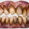 Bitemares Zombie Horror Teeth | Prosthetics | Applications And Prosthetics