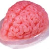 Brain Gelatin Mold | Casting | Cosplay Supplies | Cosplay Supplies | Cosplay Supplies And Tools