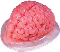 Brain Gelatin Mold | Casting | Cosplay Supplies | Cosplay Supplies | Cosplay Supplies And Tools