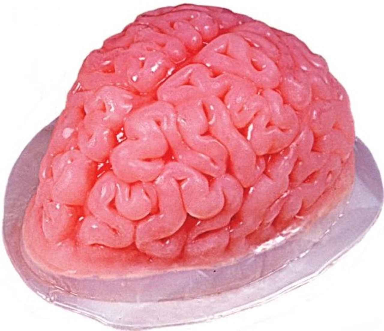 Brain Gelatin Mold | Casting | Cosplay Supplies | Cosplay Supplies | Cosplay Supplies And Tools 1 Brain Gelatin Mold | Casting | Cosplay Supplies | Cosplay Supplies | Cosplay Supplies And Tools