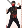 NInja Assassin Costume | Ninja | Childrens Costumes