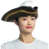 Leatherlike Pirate Hat With Feather - Brown | Pirates | Hats And Headpieces