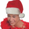 Santa Hat Felt With Plush Trim | Christmas | Seasonal Accessories