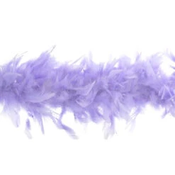Boa Deluxe Chandelle Feather | Accessories | Accessories -The Costume Shop 742080 LV 00940.1727197095