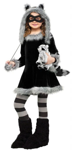 Sweet Raccoon Dress Costume | Animals | Childrens Costumes