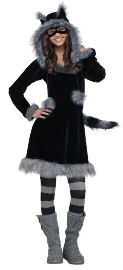 Sweet Raccoon Hoodie Dress Teen Costume | Animals | Childrens Costumes