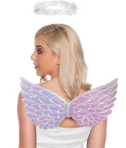 Angel Wings And Halo Kit | Angels And Devils | Costume Kits