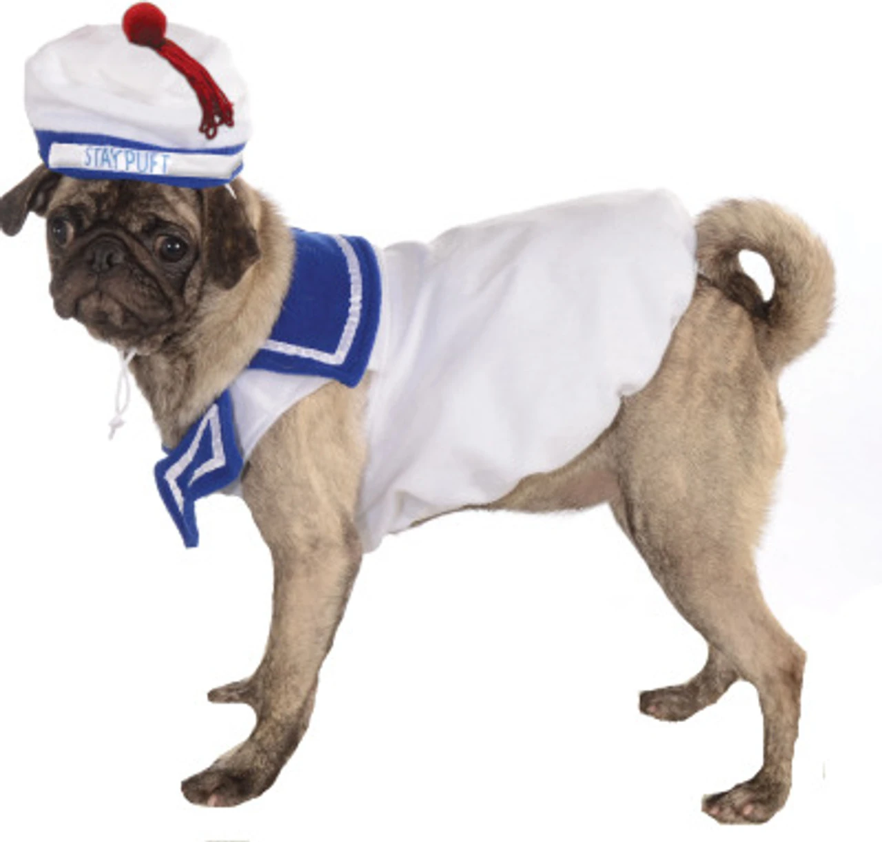 Ghostbusters Stay Puft Marshmallow Man Pet Costume | Ghostbusters | Pet Costumes And Accessories 1 Ghostbusters Stay Puft Marshmallow Man Pet Costume | Ghostbusters | Pet Costumes And Accessories