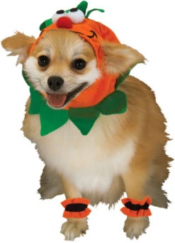 Halloween Pumpkin Small Dog Pet Costume | Hallwoeen | Pet Costumes And Accessories