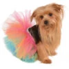 Tiny Pet Rainbow Tutu Skirt | Pride | Pet Costumes And Accessories