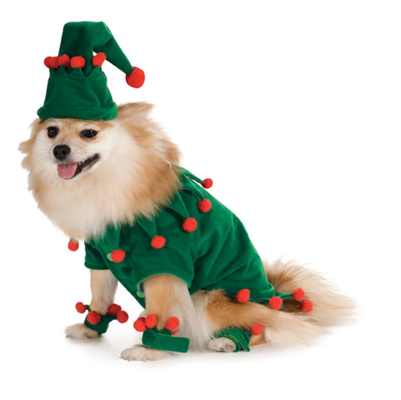 Elf Pet Costume | Christmas | Pet Costumes And Accessories 1 Elf Pet Costume | Christmas | Pet Costumes And Accessories