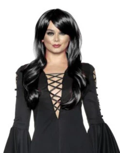 Long Black Sassy Wig | Wigs And Hair Pieces | Wigs And Hair Pieces | Consignment