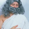 Biblical Wig And Beard Set Grey | Biblical Wigs