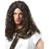 Barbarian Warrior Wig | Old World | Wigs And Hair Pieces