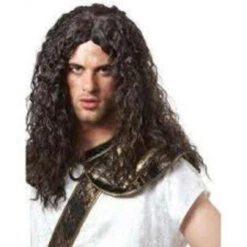 Barbarian Warrior Wig | Old World | Wigs And Hair Pieces