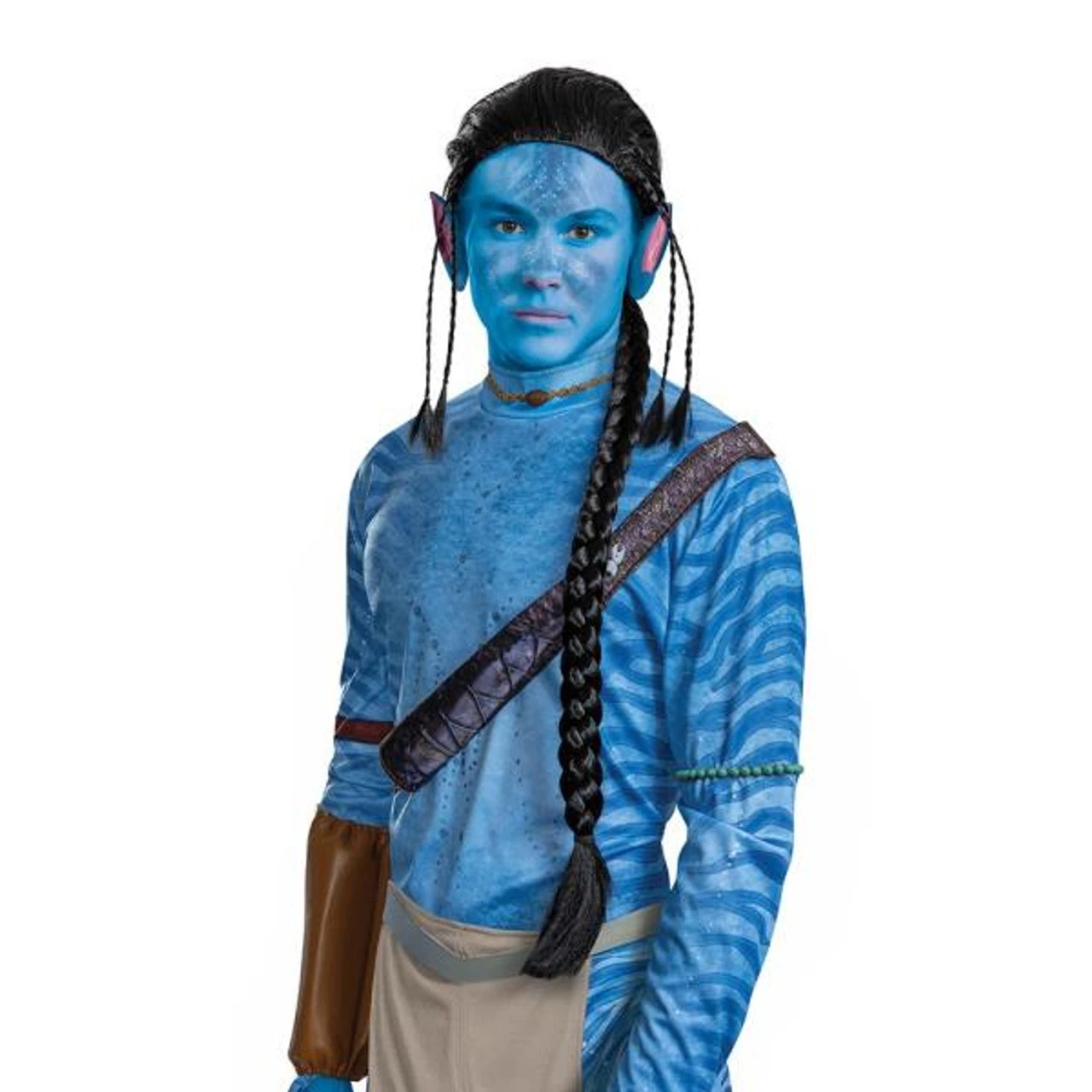 Avatar Jake Sully Deluxe Wig | Avatar | Wigs And Hair Pieces 1 Avatar Jake Sully Deluxe Wig | Avatar | Wigs And Hair Pieces