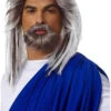 King Of The Sea Neptune Or Poseidon Wig And Beard | Mythology | Character Wigs