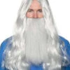 Grey Wizard Wig And Beard | Fantasy | Wigs And Hair Pieces