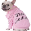 Grease Pink Lady Pet Costume | Grease | Pet Costumes And Accessories