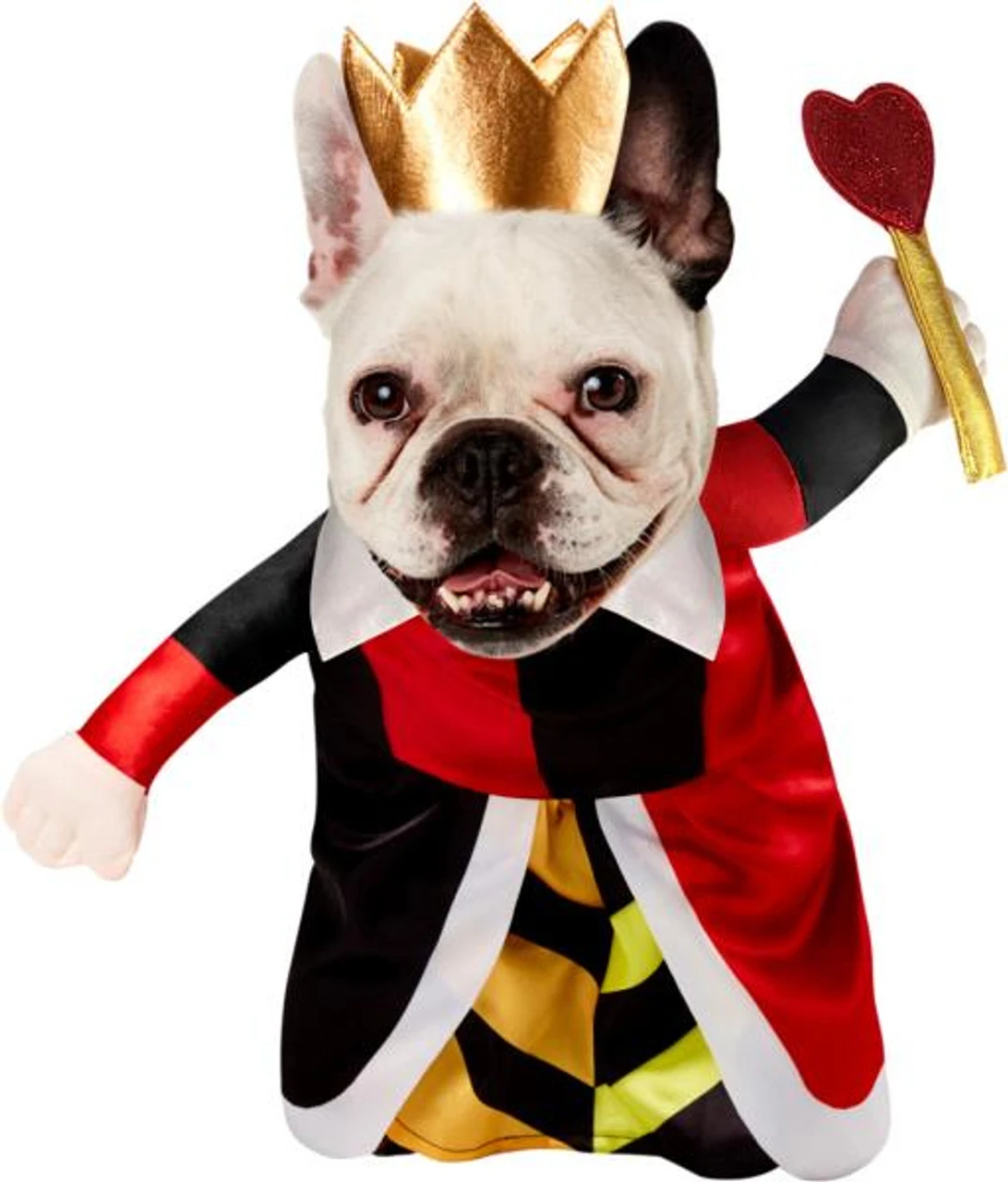 Alice In Wonderland Queen Of Hearts Large Pet Costume | Alice In Wonderland | Pet Costumes And Accessories 1 Alice In Wonderland Queen Of Hearts Large Pet Costume | Alice In Wonderland | Pet Costumes And Accessories
