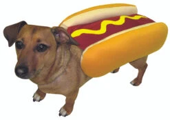 Hot Dog Pet Costume | Food | Pet Costumes And Accessories
