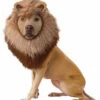 Animal Planet Lion Costume | Animals | Pet Costumes And Accessories | Consignment