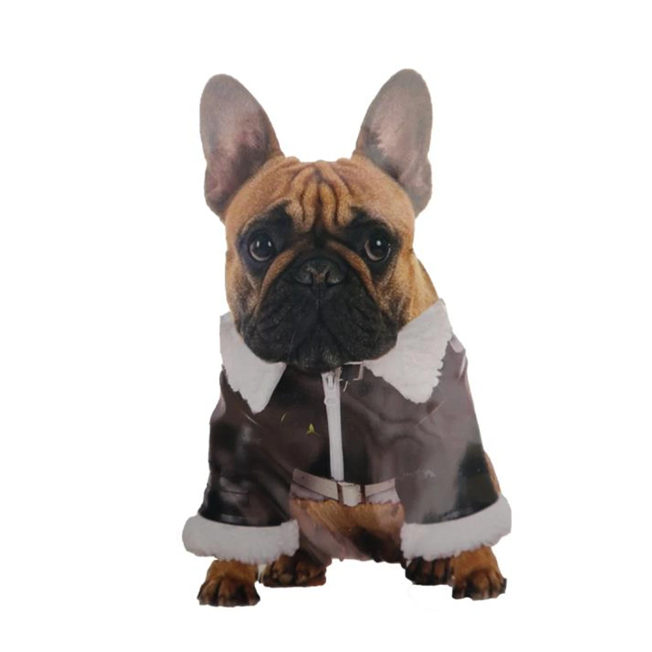 Leatherlike Dog Bomber Jacket Pet Costume | Top Gun | Pet Costumes And Accessories 1 Leatherlike Dog Bomber Jacket Pet Costume | Top Gun | Pet Costumes And Accessories