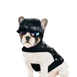LeatherLike Dog Biker Jacket Pet Costume | Pet Costume | Pet Costumes And Accessories
