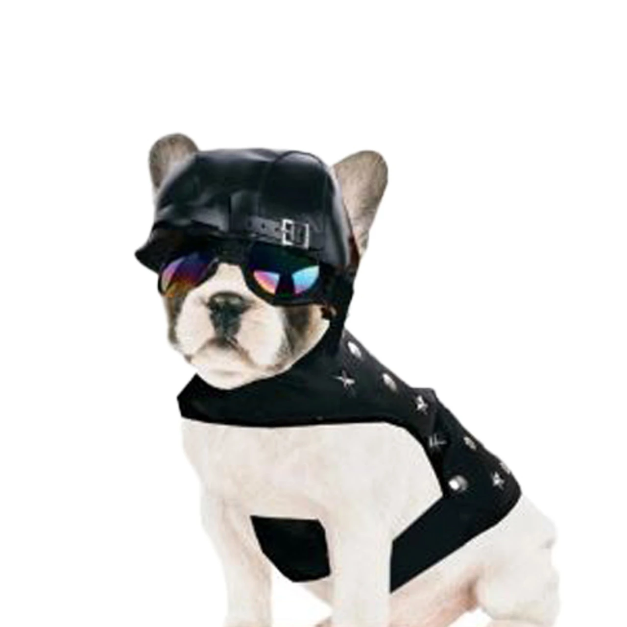 LeatherLike Dog Biker Jacket Pet Costume | Pet Costume | Pet Costumes And Accessories 1 LeatherLike Dog Biker Jacket Pet Costume | Pet Costume | Pet Costumes And Accessories