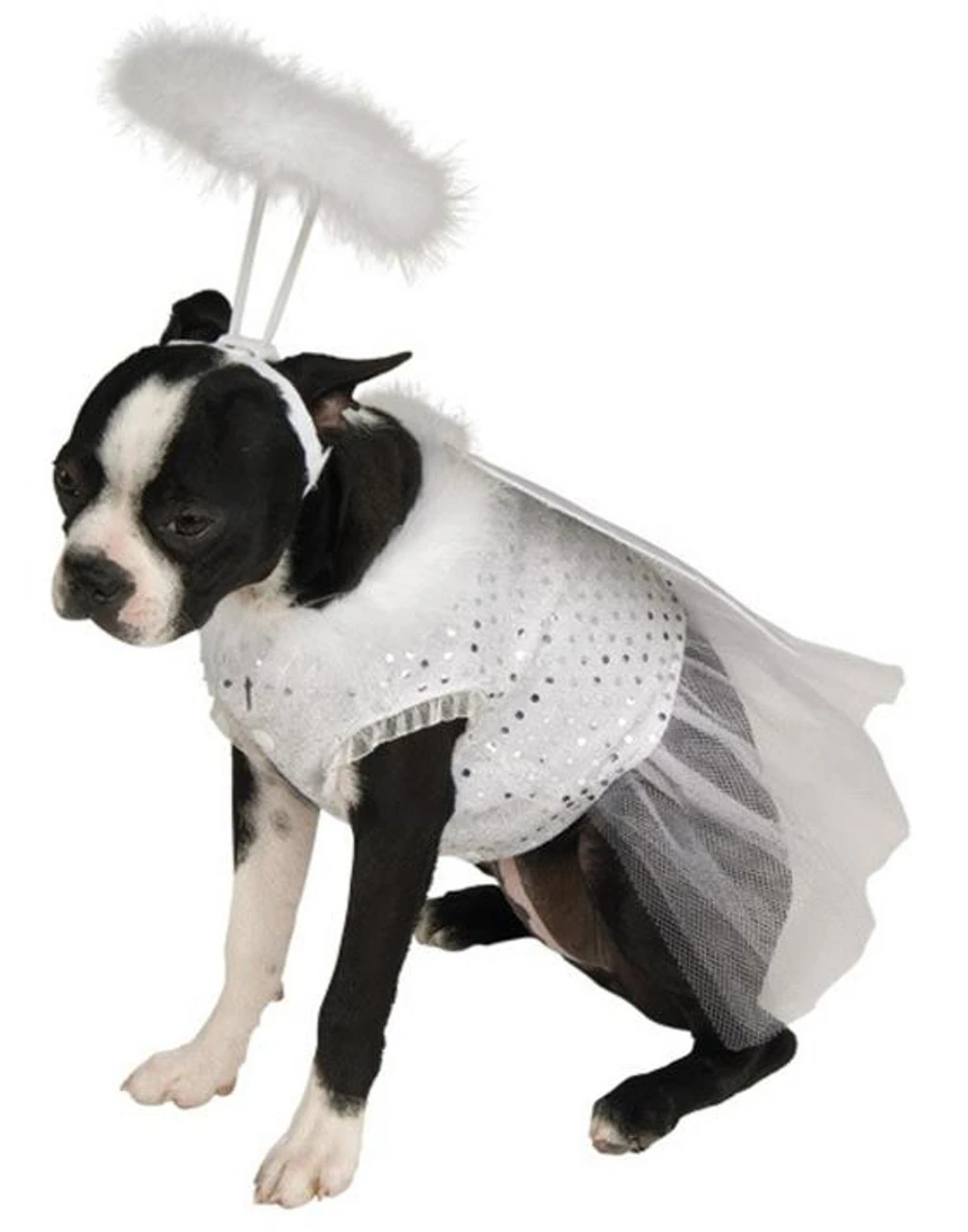 Angel Pet Costume | Angels And Devils | Pet Costumes And Accessories 1 Angel Pet Costume | Angels And Devils | Pet Costumes And Accessories