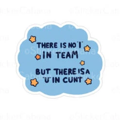 Theres No I In Team But There Is A U In Cunt | Sticker Cabana | Vinyl Stickers