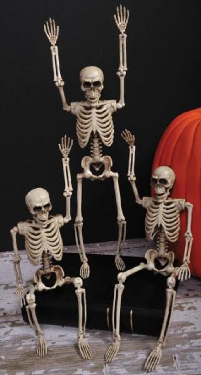 Poseable Skeleton 14 Inch | Decor | Novelty And Decor 1 Poseable Skeleton 14 Inch | Decor | Novelty And Decor