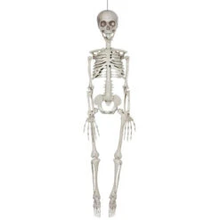 Posable Skeleton 35in | Decor | Novelty And Decor