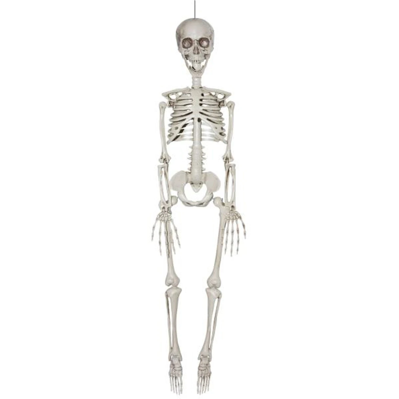 Posable Skeleton 35in | Decor | Novelty And Decor 1 Posable Skeleton 35in | Decor | Novelty And Decor