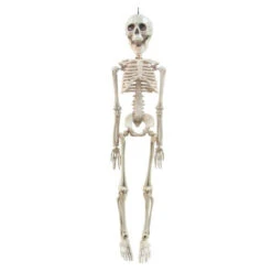 Skeleton 20in | Decor | Novelty And Decor