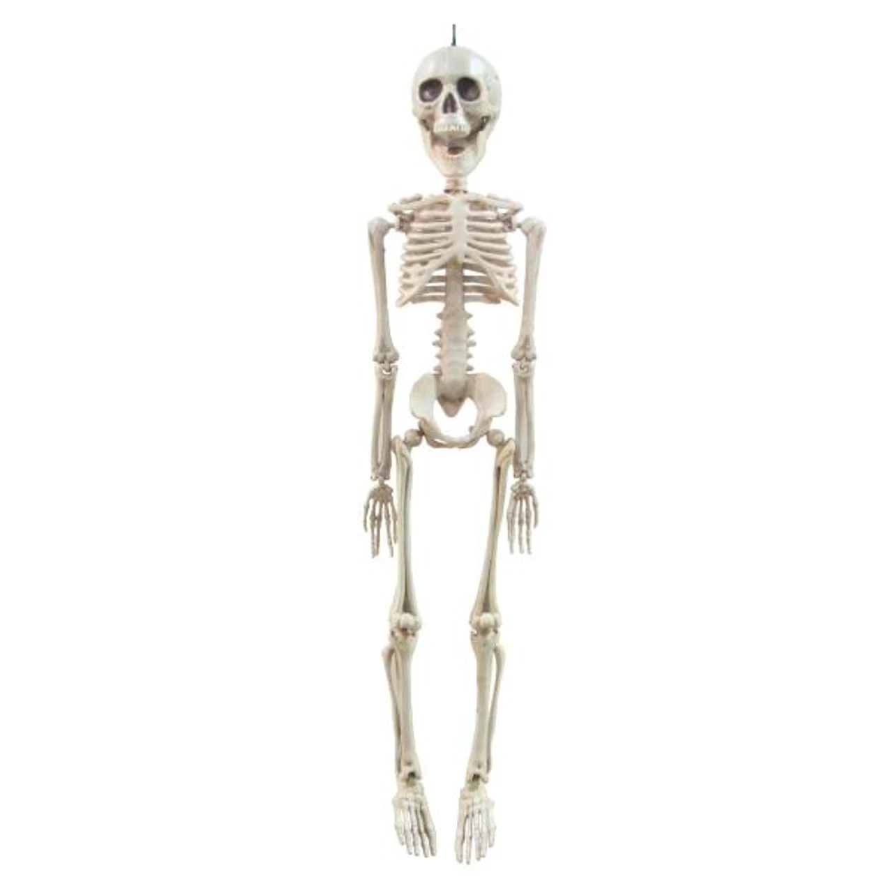 Skeleton 20in | Decor | Novelty And Decor 1 Skeleton 20in | Decor | Novelty And Decor