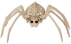 Spine Chilling Spider Skeleton | Decor | Novelty And Decor